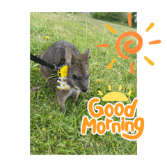 sunny_20230806150859