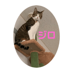 takeshi watanabe_20230806165917