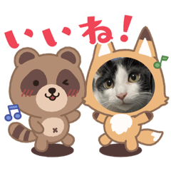 kana0821