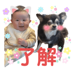 yukari_20230806165035