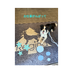 kosuke_20230807092736