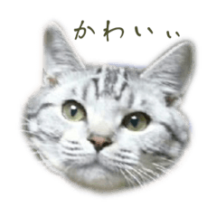 yuka_20230806170907