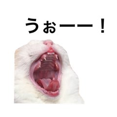 Ponnosukechan