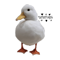 ggunkyk_20230806192254