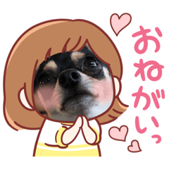 KOTOKOTOSTAMP!