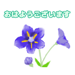 Sunny_20230806202456