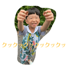 sunny_20230806203455