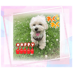 yuka_20230806220530