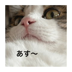 kaede_20230806223231