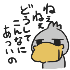 shoebill-summer