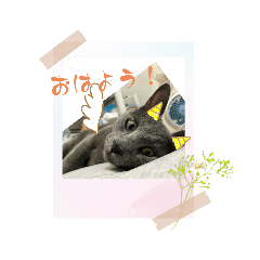 SAKURA_20230806224956