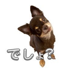 Toramugi channel original stamp