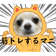 hana_20230807125643