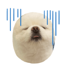 巨博