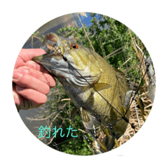 aoi_20230807073317