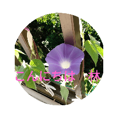 Hayashi_20230807114754