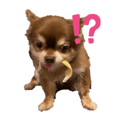 Toramugi channel original stamp2