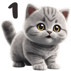 Cat grey number one