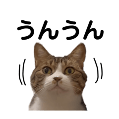 YAMAGATAAKITO_20230807165759