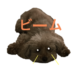 Y_20230807182644