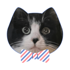 chisa_20230807225138