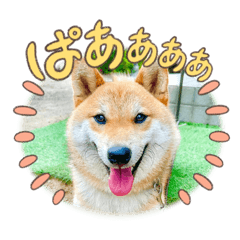 tomomi_20230808100938