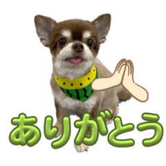 Toramugi channel original stamp3