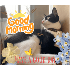 自己的罐罐自己賺!我是柚子