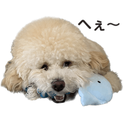 sakura_20230807195540