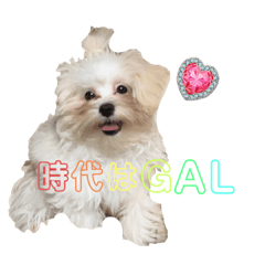 Omochi_20230807211204