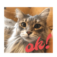 Nozomi_20230808121735