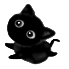 Moving cute black cat kitten