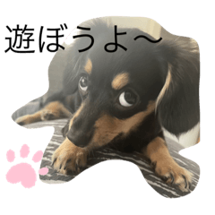 arisa_20230808062002