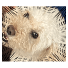 natsumi_20230808021733