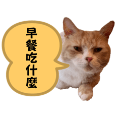 父親實用貼圖-父親節特輯