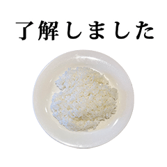 rice rice 4
