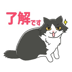 Tomo the CAT stickers