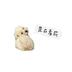 meeday日常