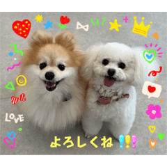 nanababa_20230808170644