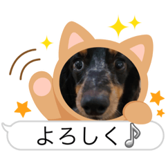 Ryuki_20230809071600