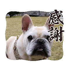 PECO_20230808181446