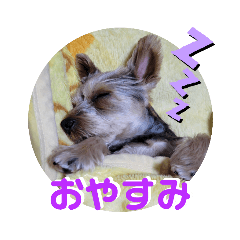 SAkura_20230808231037