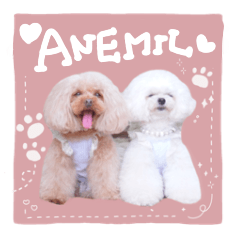 Revised Ver/ Anemil_sticker