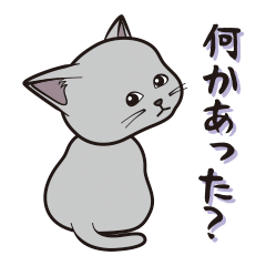 nyanchokorin(gray cat)