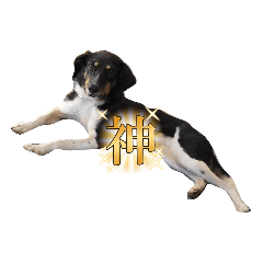 Mohechan_20230809111708