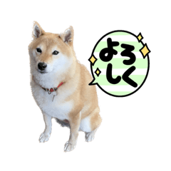 sakura_20230809130550