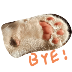 naaagi_20230808214211