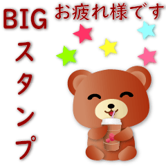 JP-Cute Brown Bear-Practical Phrases