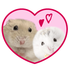 Hamster TORORO Friends Sticker2