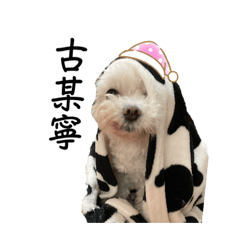 NiNi ㄉ 廢貼圖